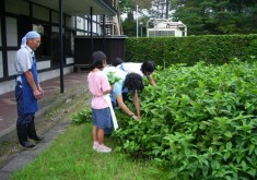 お客様の作品紹介